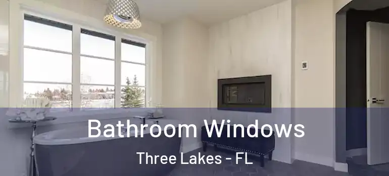  Bathroom Windows Three Lakes - FL
