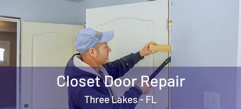  Closet Door Repair Three Lakes - FL
