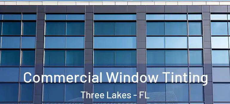  Commercial Window Tinting Three Lakes - FL
