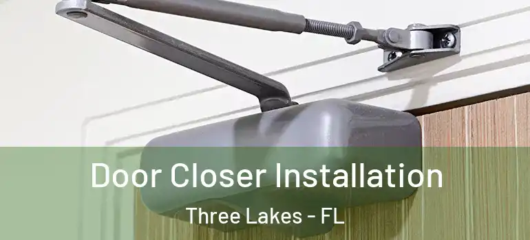  Door Closer Installation Three Lakes - FL