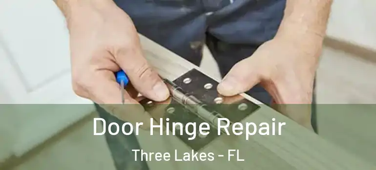 Door Hinge Repair Three Lakes - FL