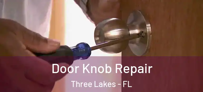  Door Knob Repair Three Lakes - FL