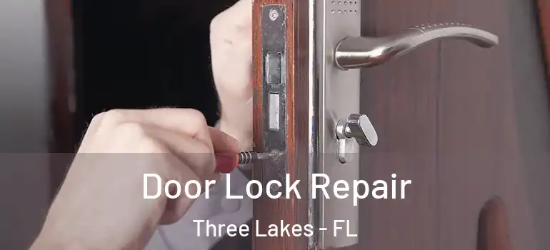  Door Lock Repair Three Lakes - FL