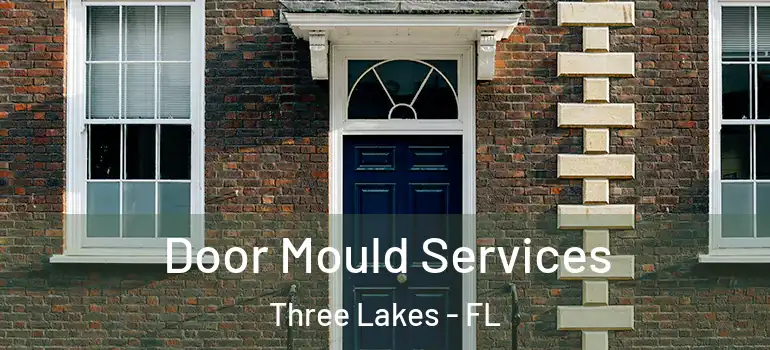  Door Mould Services Three Lakes - FL