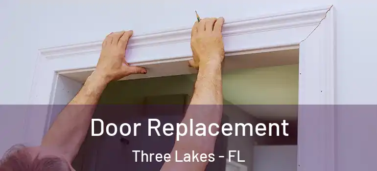  Door Replacement Three Lakes - FL