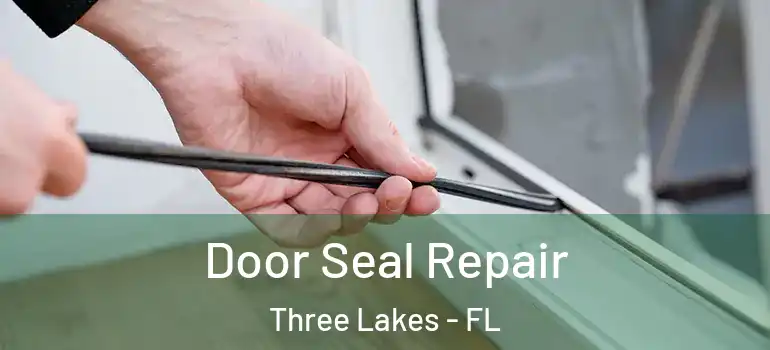  Door Seal Repair Three Lakes - FL