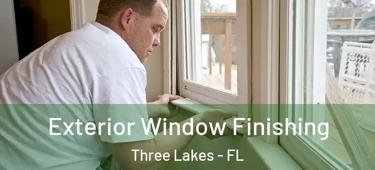  Exterior Window Finishing Three Lakes - FL