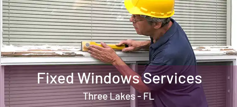  Fixed Windows Services Three Lakes - FL