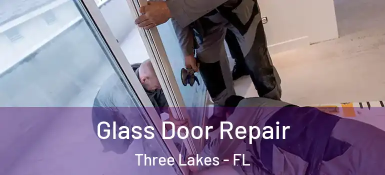  Glass Door Repair Three Lakes - FL