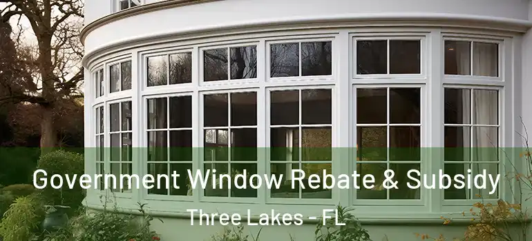  Government Window Rebate & Subsidy Three Lakes - FL