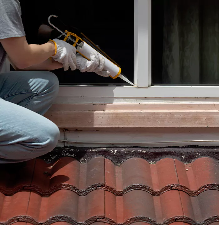 Roof Window Services in Three Lakes, Florida