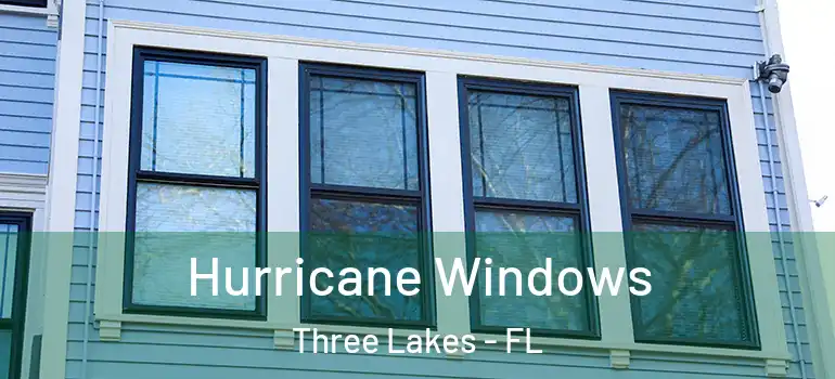  Hurricane Windows Three Lakes - FL