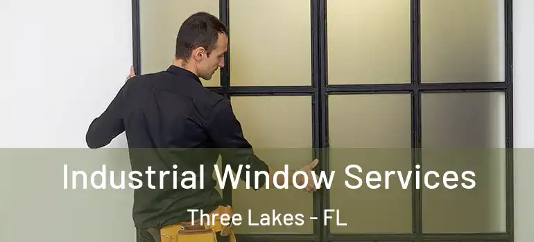  Industrial Window Services Three Lakes - FL