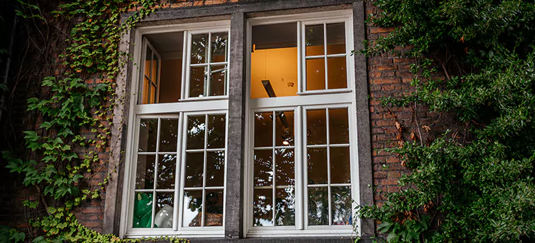Energy Efficient Wood Windows in Three Lakes, FL