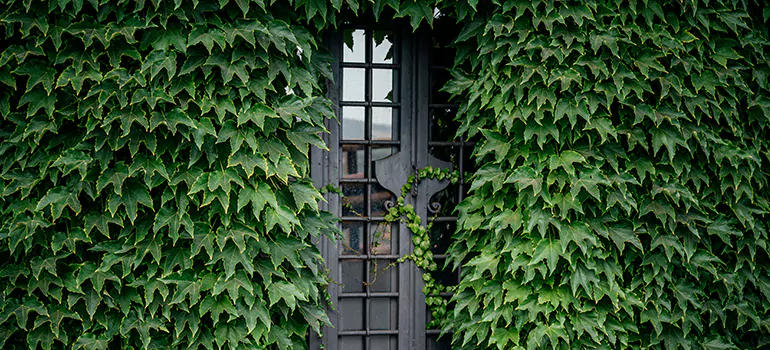 Garden Gate Repair in Three Lakes, FL