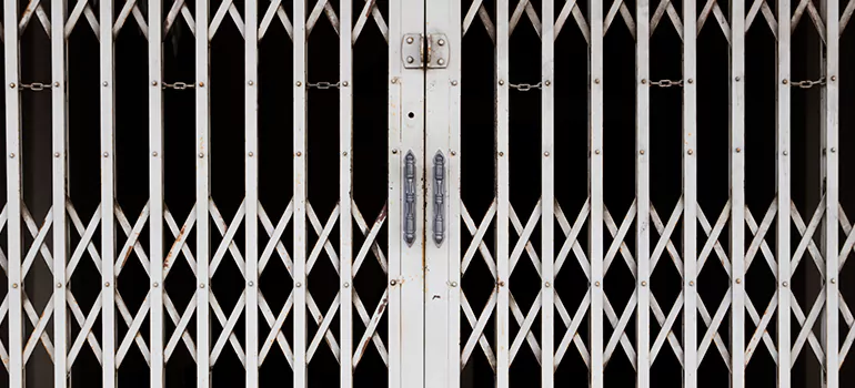 Steel Line Garage Door Repairs in Three Lakes, FL