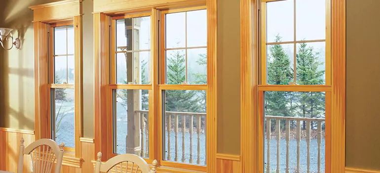 Government Incentives For Replacement Windows in Three Lakes, FL