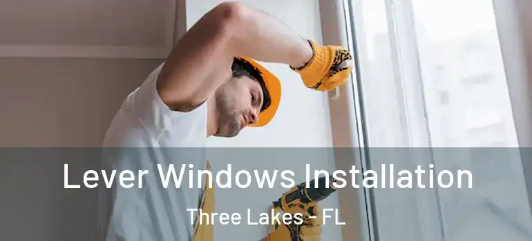  Lever Windows Installation Three Lakes - FL