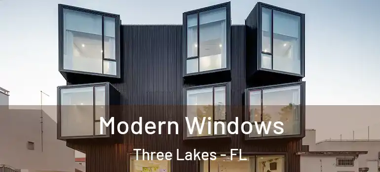  Modern Windows Three Lakes - FL