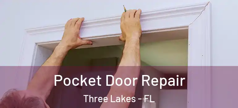 Pocket Door Repair Three Lakes - FL