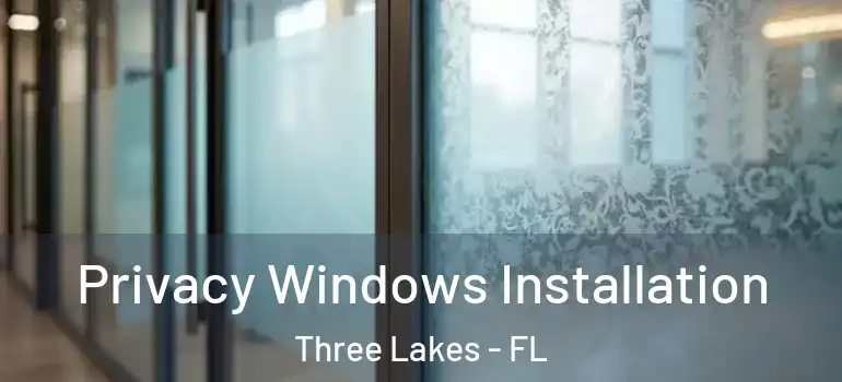  Privacy Windows Installation Three Lakes - FL