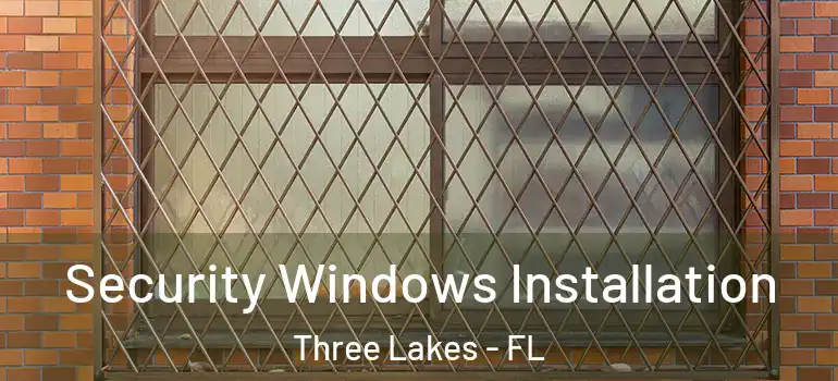  Security Windows Installation Three Lakes - FL