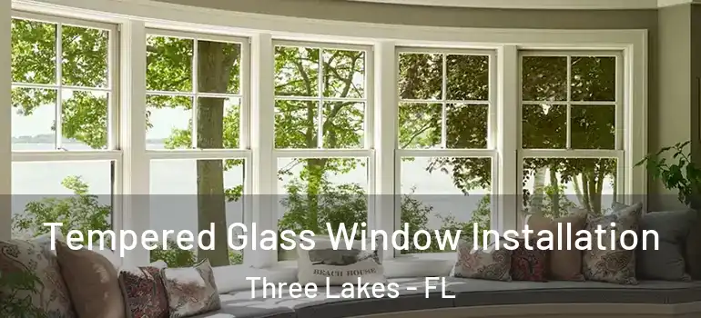  Tempered Glass Window Installation Three Lakes - FL
