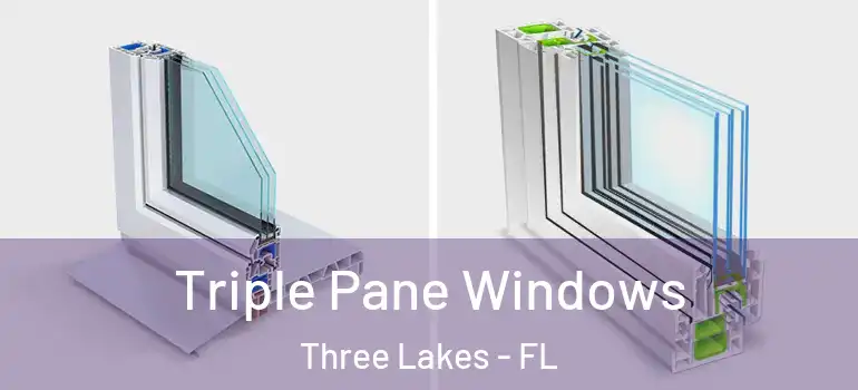  Triple Pane Windows Three Lakes - FL