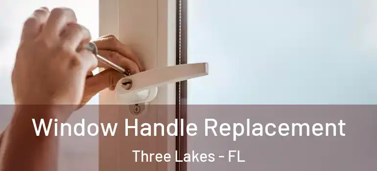  Window Handle Replacement Three Lakes - FL