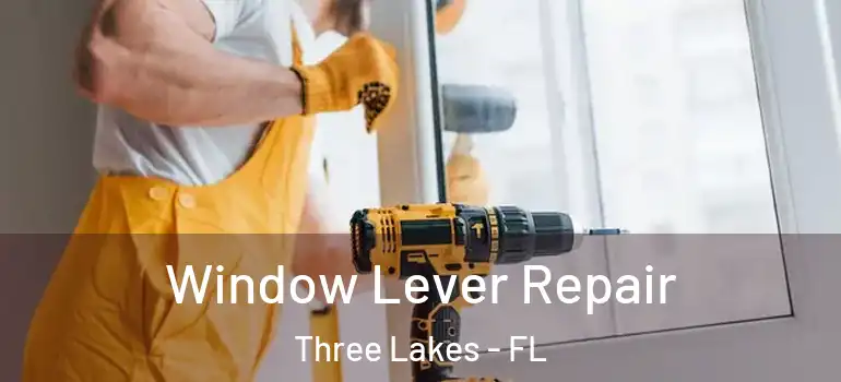  Window Lever Repair Three Lakes - FL