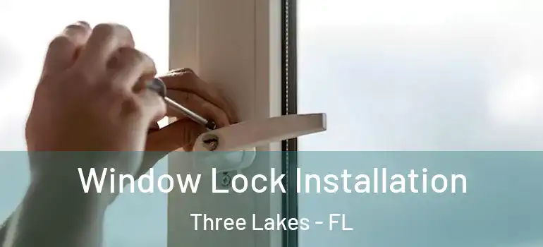  Window Lock Installation Three Lakes - FL