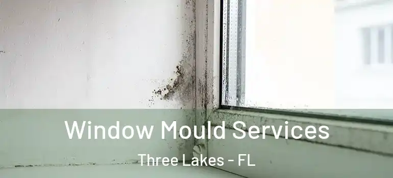  Window Mould Services Three Lakes - FL