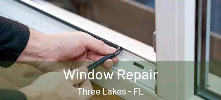 Window Repair Three Lakes - FL