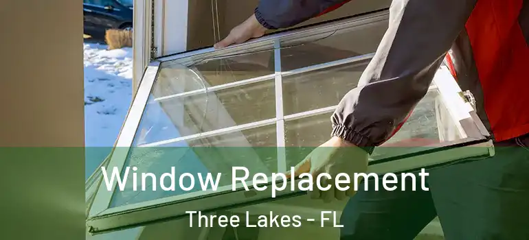  Window Replacement Three Lakes - FL