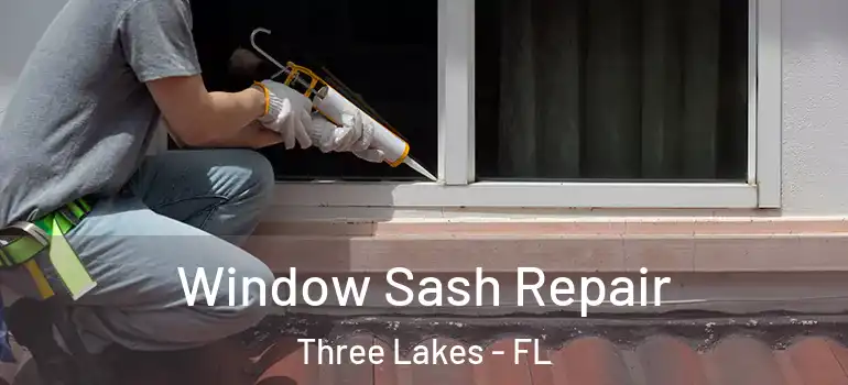  Window Sash Repair Three Lakes - FL
