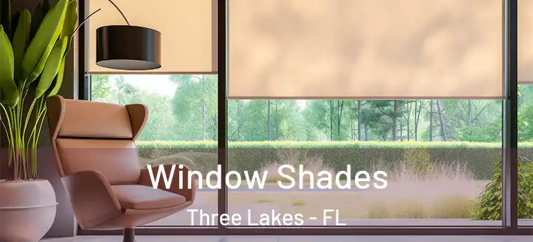  Window Shades Three Lakes - FL