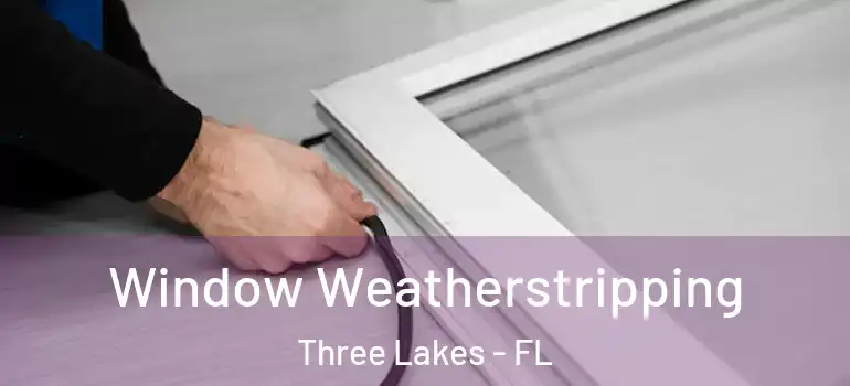  Window Weatherstripping Three Lakes - FL